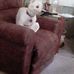 Nancy Stapleton - Facebook