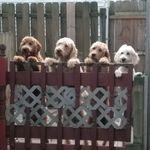 Nancy Starkey - @starkey6115 - Instagram