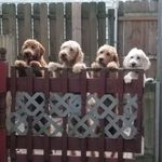 nancy starkey - @starkey5019 - Instagram