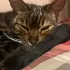 Nancy Starkey - @nancy.starkey2 - TikTok