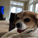 Nancy Starks Jenkins - @j.dog.cool.kid - Instagram