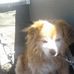 Nancy Starner - Facebook