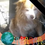 Nancy Starner - Facebook