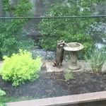 Nancy McMahon - @nancy.stefanilo - Instagram