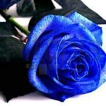 Nancy Steiner - @naneki1416 - Instagram