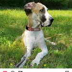 Nancy Steiner - @nancy_otis_steiner - Instagram