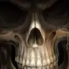 Nancy Steiner - @nancysteiner_7853 - TikTok