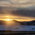 Nancy Steinke - Facebook