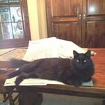 Nancy Stender Smith - @nanstrimmins - Instagram