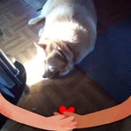 Nancy Sterner - Facebook