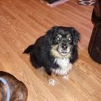 Nancy Husing Stiffler - Facebook