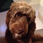 Nancy Stiffler - Facebook