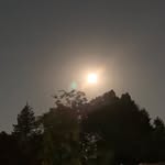 Nancy Stimson - @metaltiger.50 - Instagram