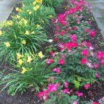Nancy Stocker - @nancy_9865 - Instagram