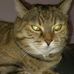 Nancy Stonehouse - Facebook