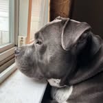 Nancy Storms - @stormsnancy - Instagram