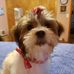 Nan Stough - Facebook