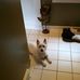 Nancy March Stough - Facebook