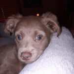 Nancy Stough - @nancy.stough.67 - Instagram