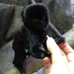 Nancy Strader - @nancym_strader - Instagram