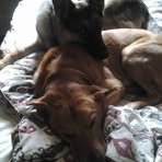 Nancy Strader-Nine - Facebook