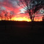 Nancy Strait - @haynanhey - Instagram