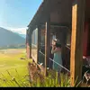NancyStraka - @nancystraka3 - TikTok
