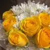 Ann Street - @ann.street3 - TikTok