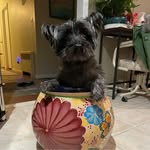 Nancy Stricklin - @nancyrmbf2 - Instagram