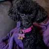 nancystrickland178 - @nancystrickland178 - TikTok