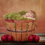 Nancy Frevola-Strohmeyer - @strohmeyernancy - Instagram