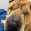Nancy Strohl618 - @nancystrohl618 - TikTok