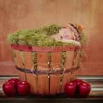 Nancy Frevola-Strohmeyer - Facebook
