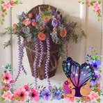 Nancy Strohmeyer - Facebook