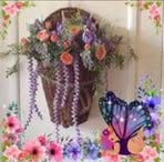 Nancy Strohmeyer - Facebook