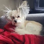 Nancy Struthers Regalado - @regalado.nancy - Instagram
