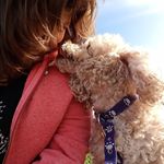 Nancy Sturgeon - @nancy.sturgeon.908 - Instagram
