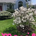 Nancy Sturtevant Wolfe - @hchqdsa378 - Instagram