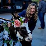 Nancy Sue - @nancyspetpics - Instagram