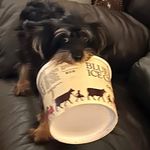 Nancy Sue Ryan - @nancys.ryan - Instagram