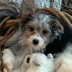 Nancy Sue Neff - @nancysueneff - Instagram