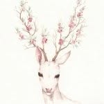 孙鸿儒 - @nancy_suen - Instagram