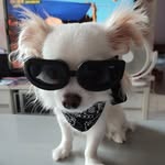 Nancy Suen - @suennancy - Instagram