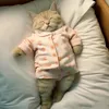 Nancy suenoi - @nancy.suenoi - TikTok