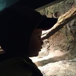 Nancy  Susi - @kidrn9 - Instagram