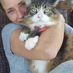 Nancy Sutton - @suttonnd - Instagram