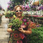 Nancy Sutton - @nancy.sutton.1048 - Instagram