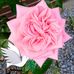 Nancy Marie Svendsen - Facebook