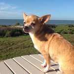 Nancy Swann - @nancyswann2394 - Instagram