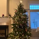 Nancy Mansfield Swart - @nancyswart78 - Instagram